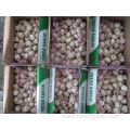 2019 Fresh Normal White Garlic